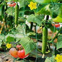 HUTHIM Malla para Jardin Exterior- Enredadera Malla 2m x 2.5m- Sea Tutores ParaPlantas Tomates y Otras Plantas…